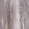Дуб русый Вотан